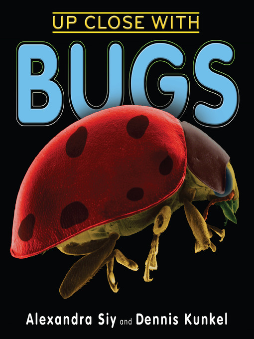 Cover image for Up Close With Bugs
